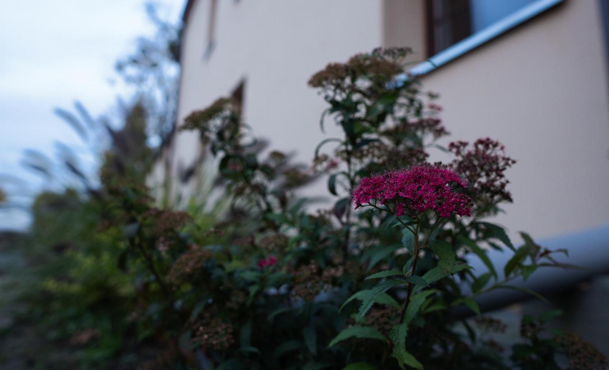 Uroczysko Olesnica Bed & Breakfast Chodziez Bagian luar foto