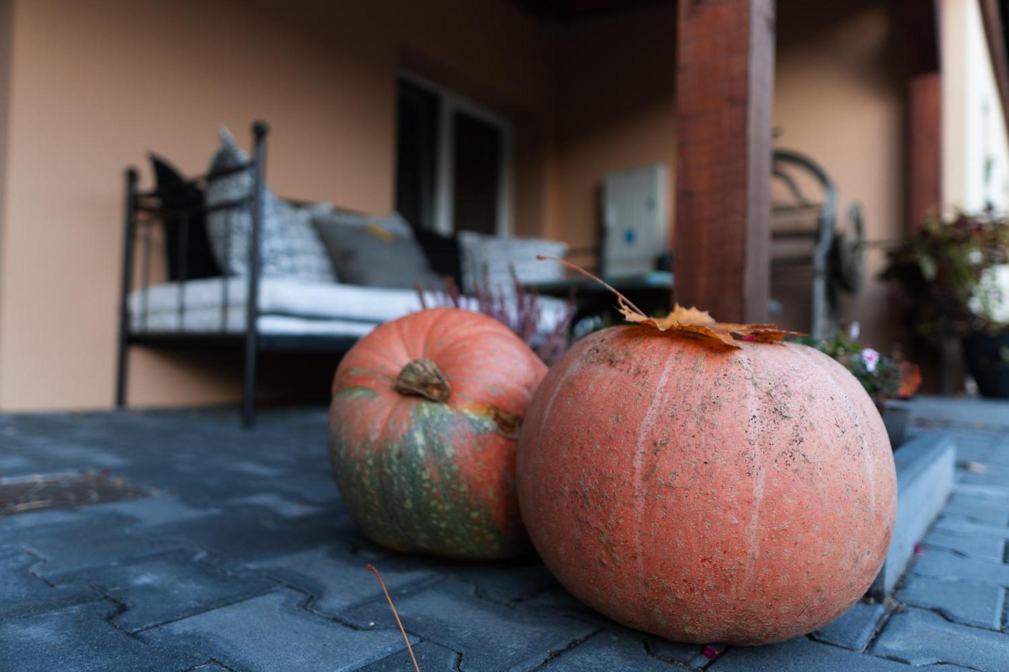Uroczysko Olesnica Bed & Breakfast Chodziez Bagian luar foto