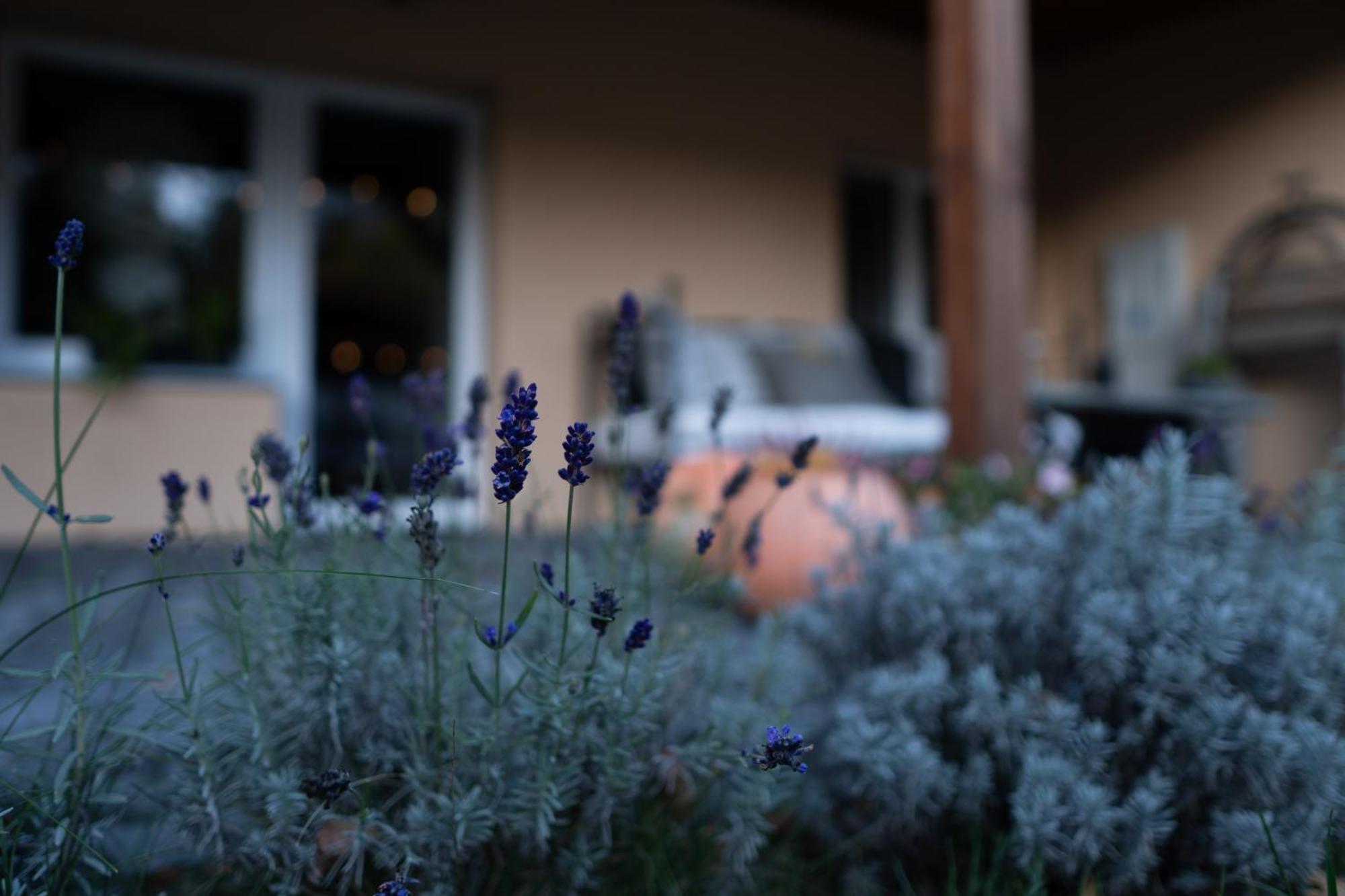 Uroczysko Olesnica Bed & Breakfast Chodziez Bagian luar foto